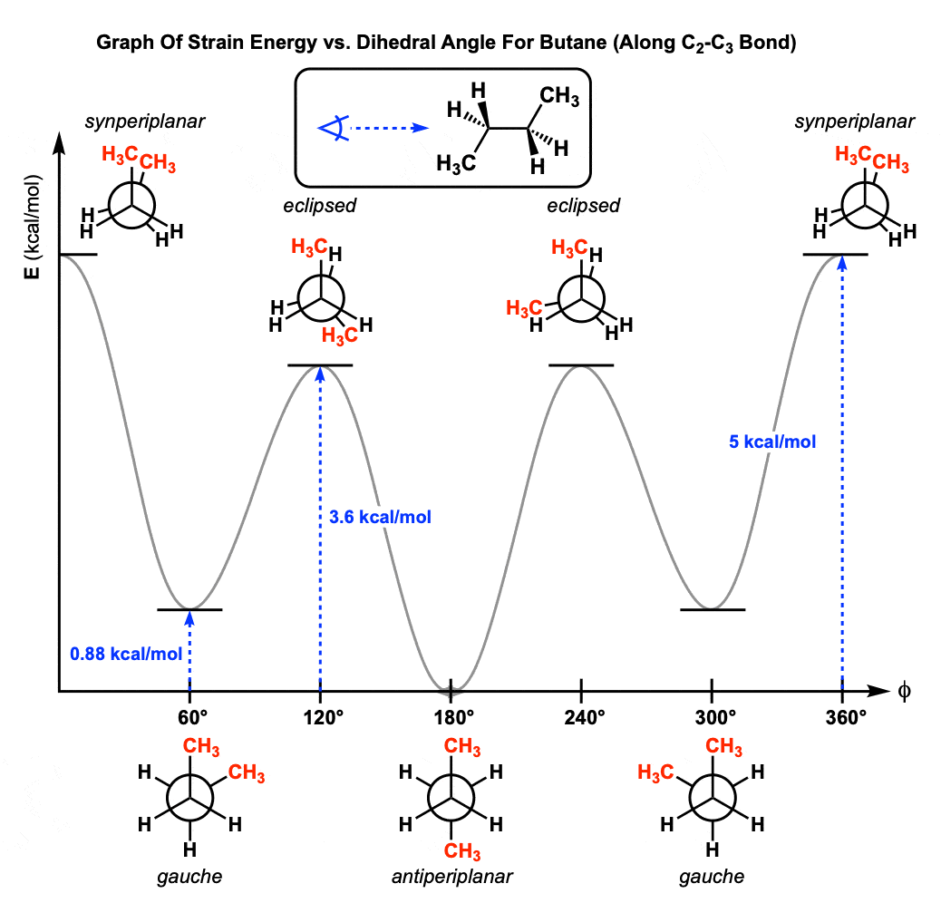 Newman Projection of Butane (and Gauche Conformation)