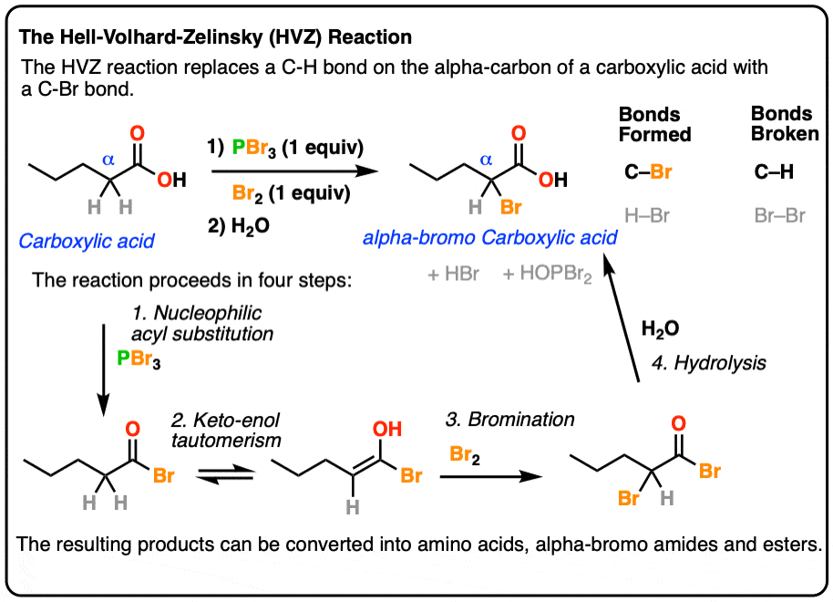 summary-of-the-hell-volhard-zelinsky-reaction-passes-through-four-stages
