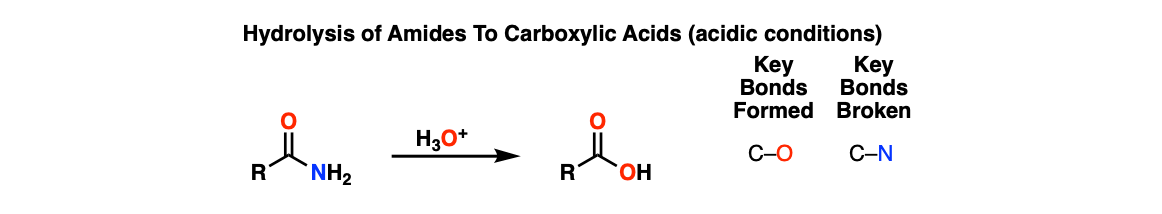 description of acid hydrolysis of amides to give carboxylic acids