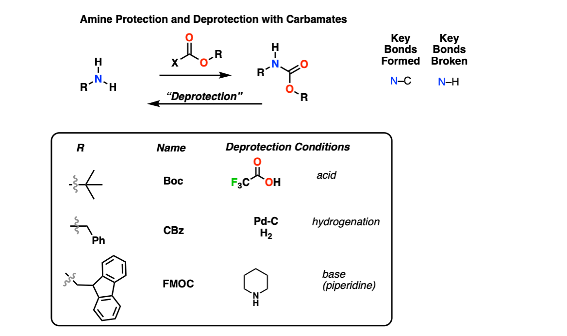 https://www.masterorganicchemistry.com/reaction-guide/amine-protection-and-deprotection/