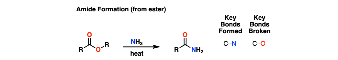 header-formation of amide from ester with heat