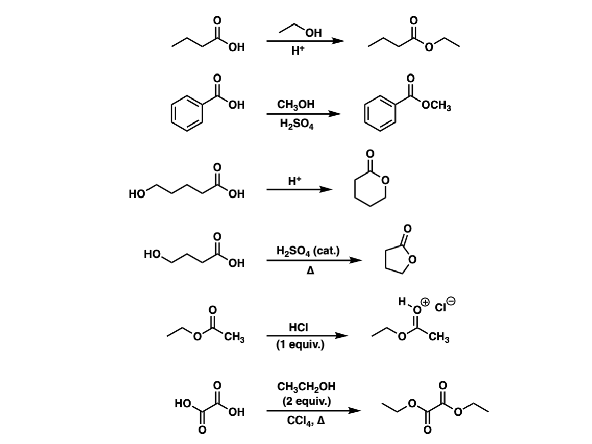 Fischer Esterification Mechanism Carboxylic Acid
