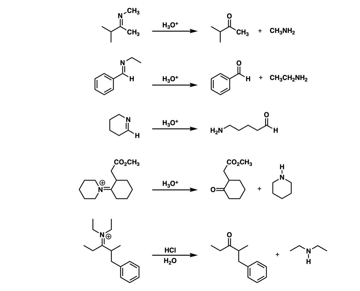 examples of imine hydrolysis with h3o