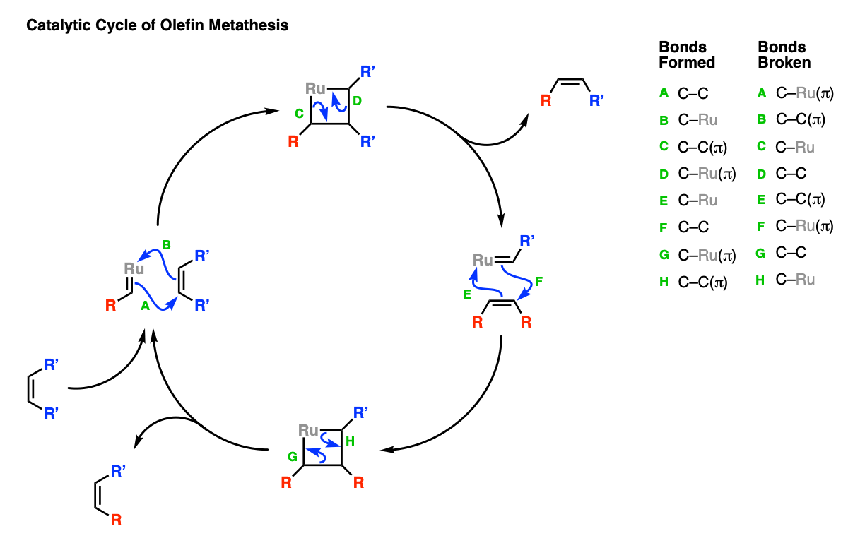 mechanism of olefin metathesis catalytic cycle