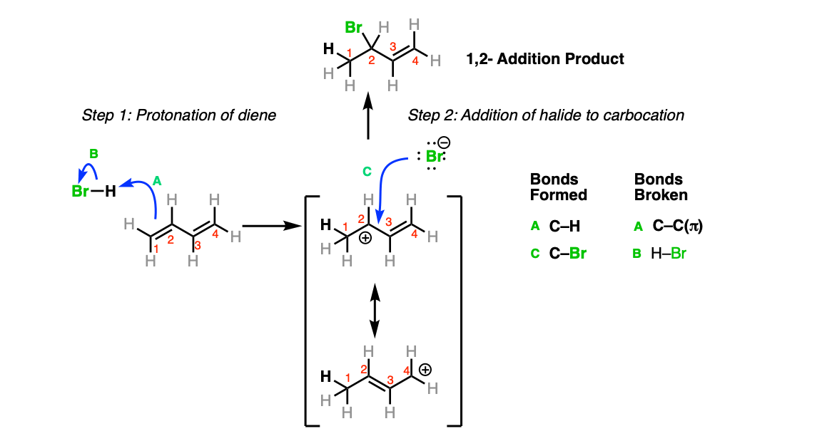  addition mechanism protonation of diene and add halide ion to carbocation