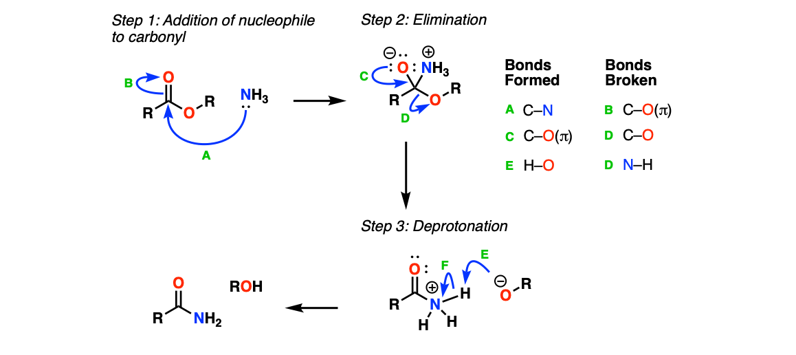 -mechanism for formation of amides from esters.