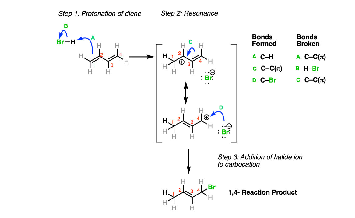 mechanism of 14 addition of hx to dienes