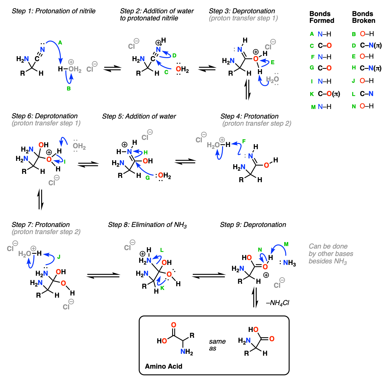 mechanism of strecker synthesis part 1 addition of cyanide to iminium
