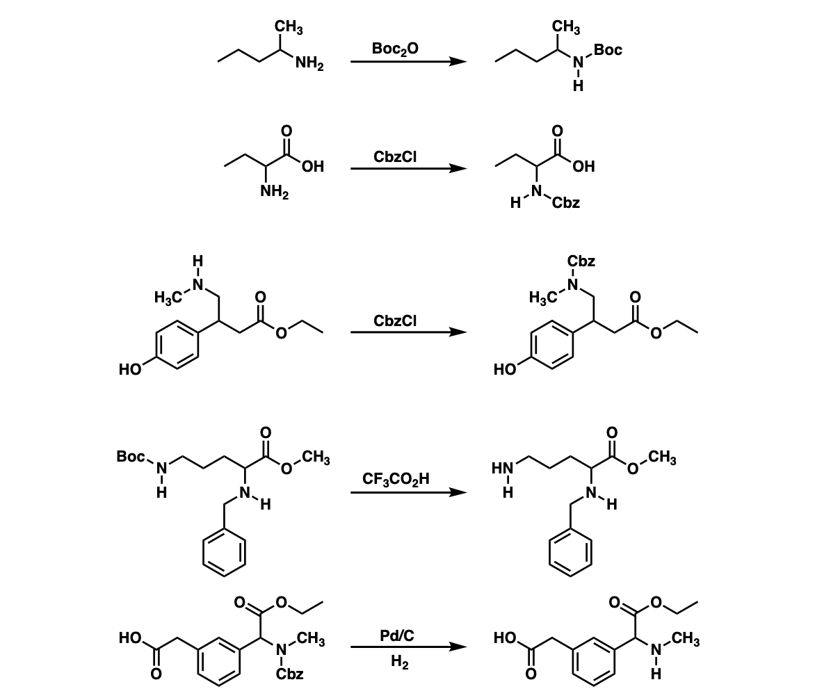 examples of amine protection and deprotection