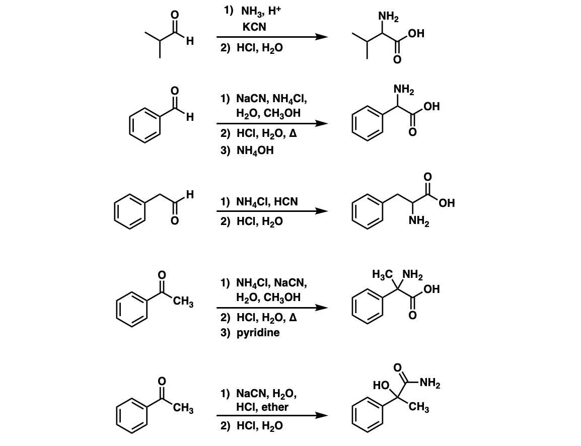 examples-of-the-strecker-reaction-of-aldehydes-and-ketones-to-give-amino-acids