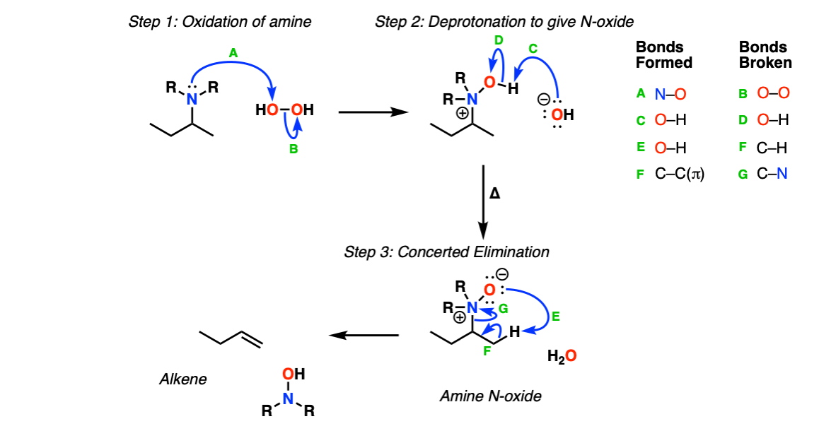-mechanism-for-cope-elimination-to-give-alkene-from-n-oxide