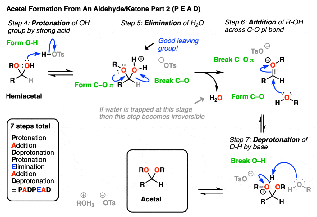 mechanism for formation of acetals from aldehydes and ketones part 2