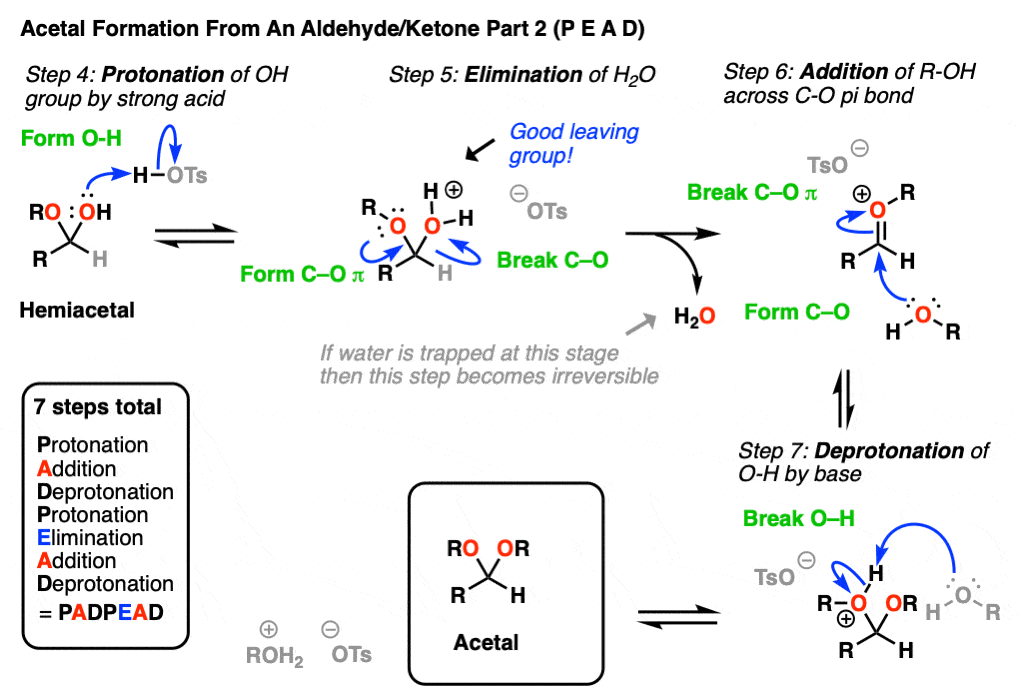 Acetal Group