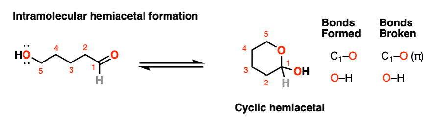 formation of cyclic hemiacetals