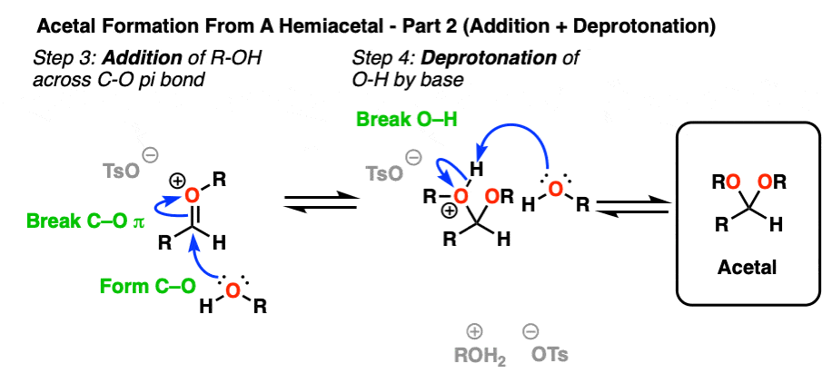 mechanism for formation of acetals from hemiacetals - 2-addition