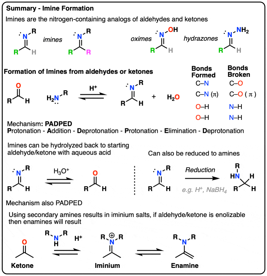 Summary of imine formation reactions mechanism and synthesis
