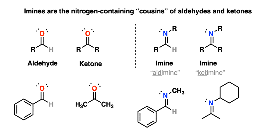 comparing the structure of imines to various aldehydes and ketones