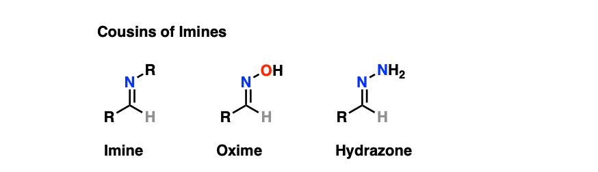 cousins of imines structures of oximes hydrazones and imines