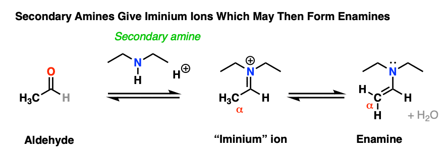 scheme for formation of iminium salts and enamines from secondary amines and aldehydes ketones