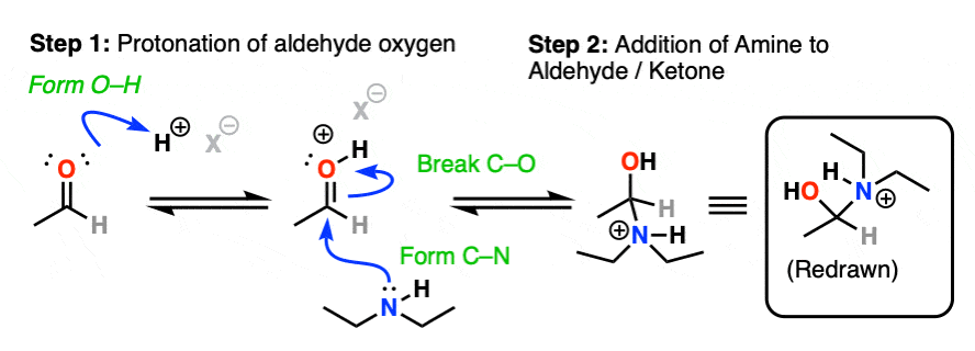 formation of enamines from aldehydes ketones and secondary amines addition