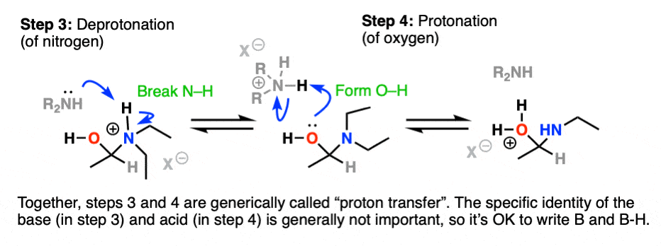 formation of enamines from aldehydes and ketones secondary amines proton transfer