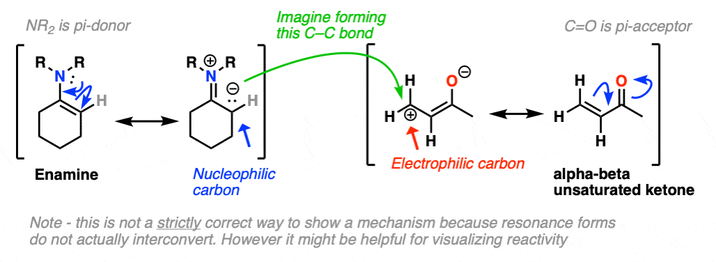 Enamine Acid Hydrolysis