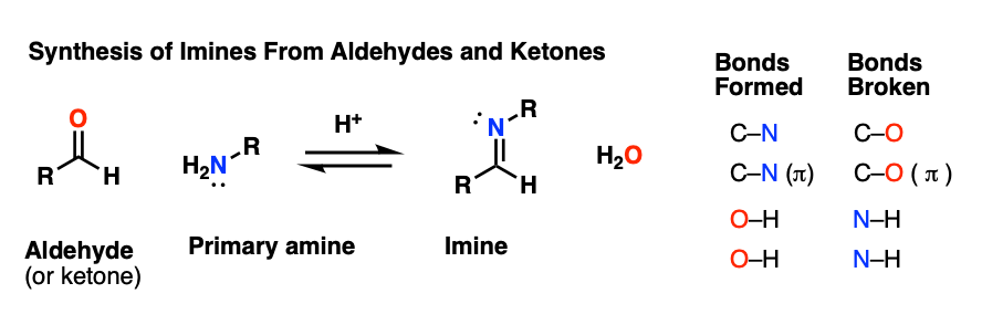 synthesis of imines fron aldehydes and ketones and a primary amine without acid