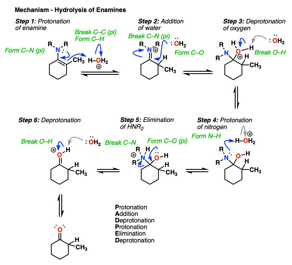 tep-by-step-mechanism-for-hydrolysis-of-enamines-with-aqueous-acid-to-restore-ketone-via-padped-mechanism.