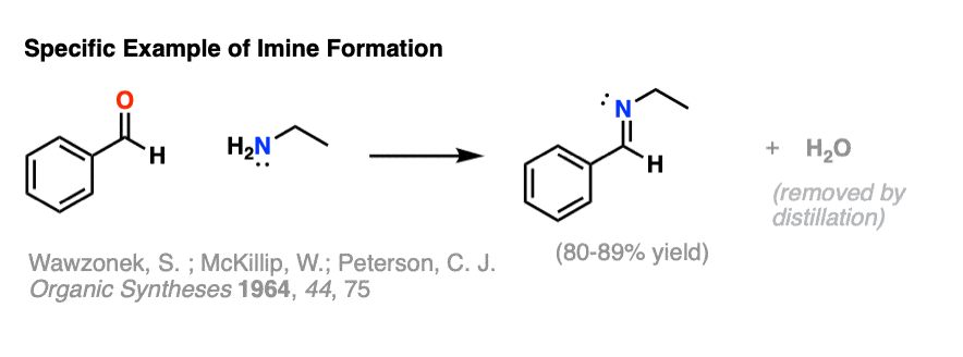 practical example of imine formation from organic syntheses coll vol 5 p 736