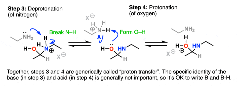 mechanism for the formation of imines from aldehydes and ketones part 2 - proton transfer