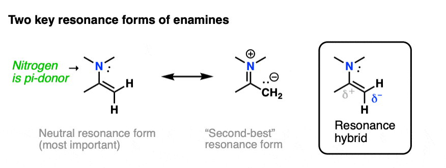 two important resonance forms of enamines