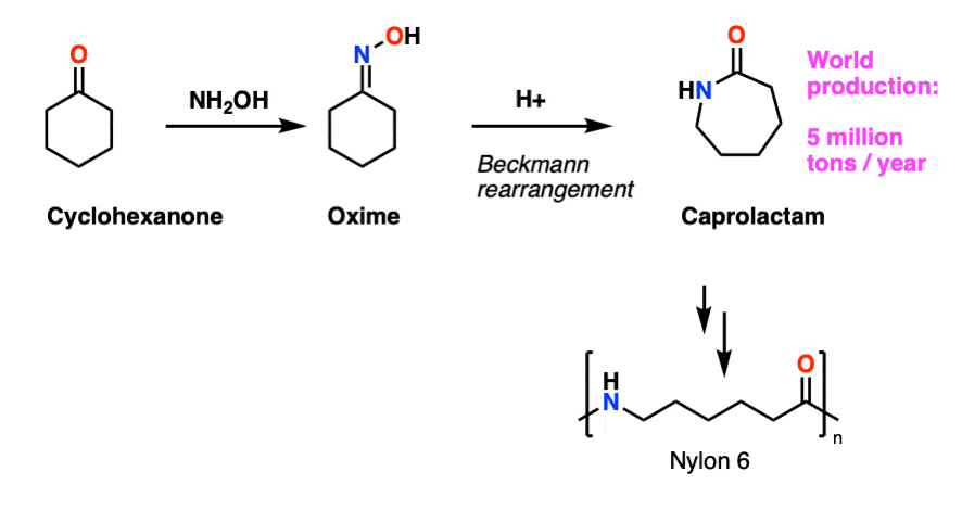 oxime formation wtih caprolactam