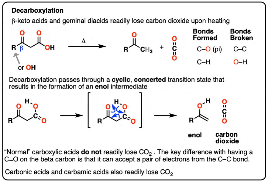 Amino Acid For Decarboxylation at Deborah Simmons blog