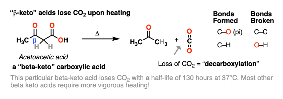 1-beta keto acids decarboxylate upon heating acetoacetic acid