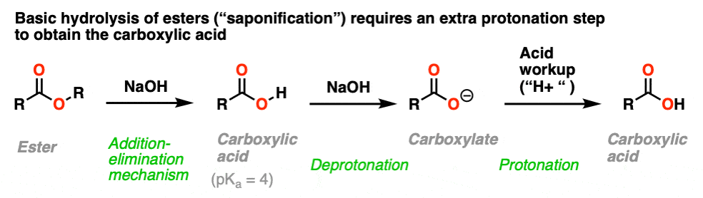 Nucleophilic Acyl Substitution With Negatively Charged Nucleophiles