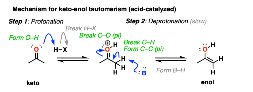 mechanism for acid catalyzed keto enol tautomerism