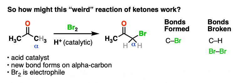 bromination of ketones goes through enol intermediate
