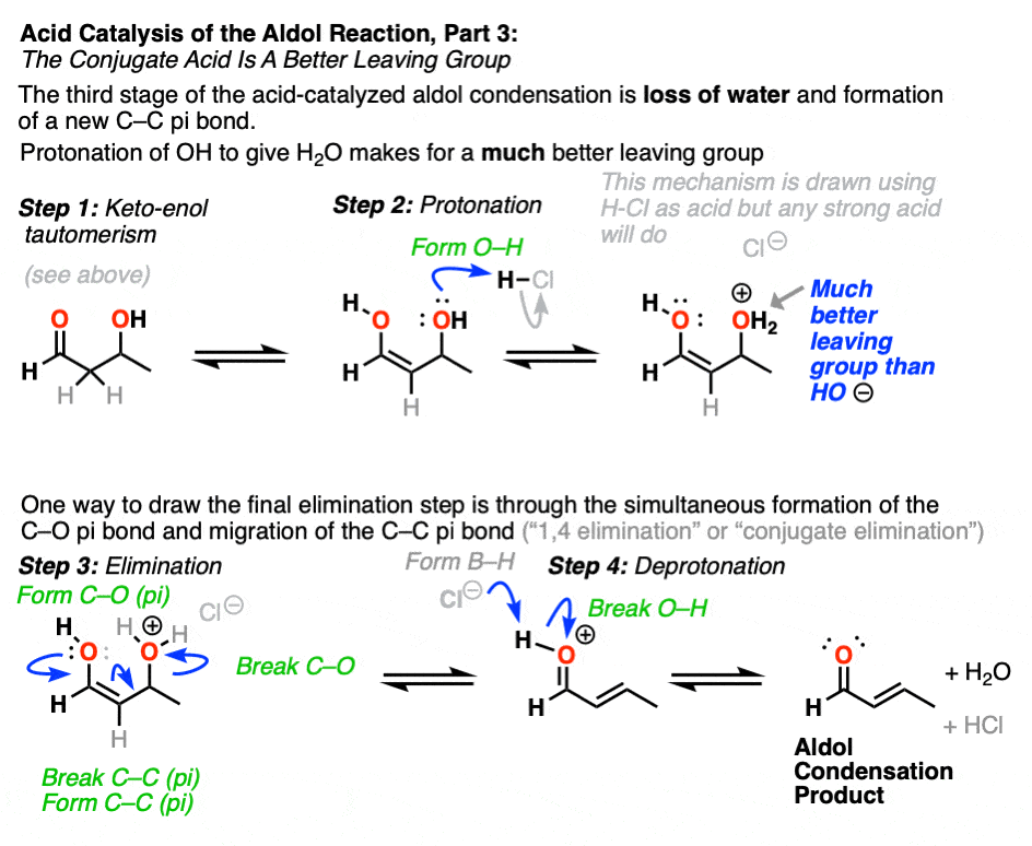 part 3 of acid catalyzed aldol condensation is loss of water to give double bond