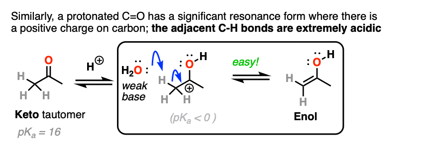 very easy to deprotonate alpha carbon adjacent to protonated carbonyl to give enol