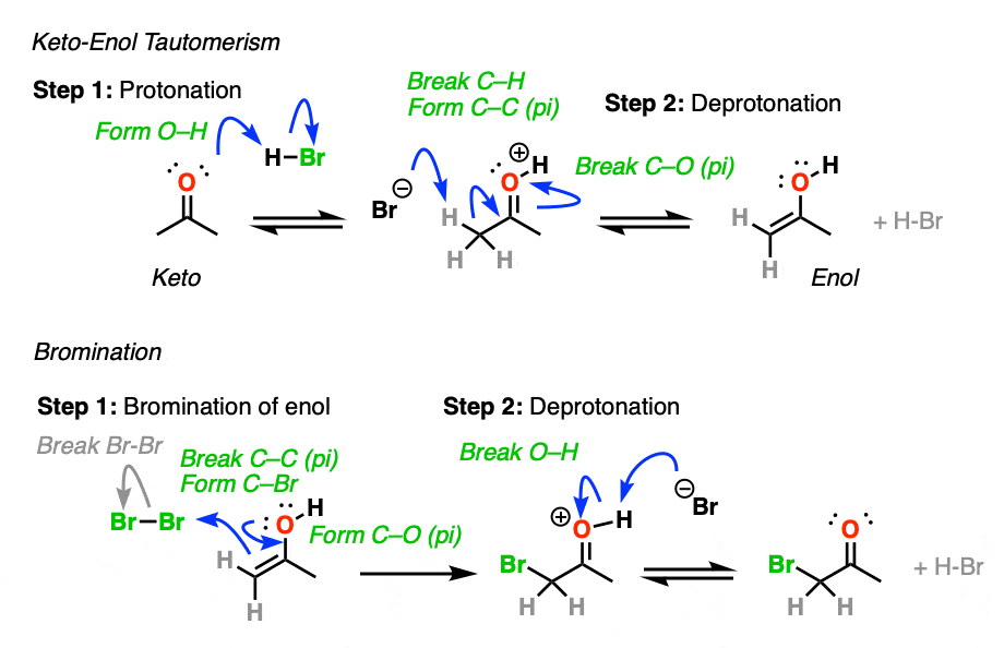 full-mechanism-for-halogenation-of-ketones-using-HBr-and-Br2-going-through-keto-enol-tautomerism-then-bromination