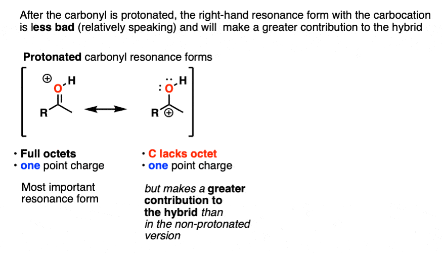 -protonated carbonyls are more electrophilic since carbocation resonance form is more important