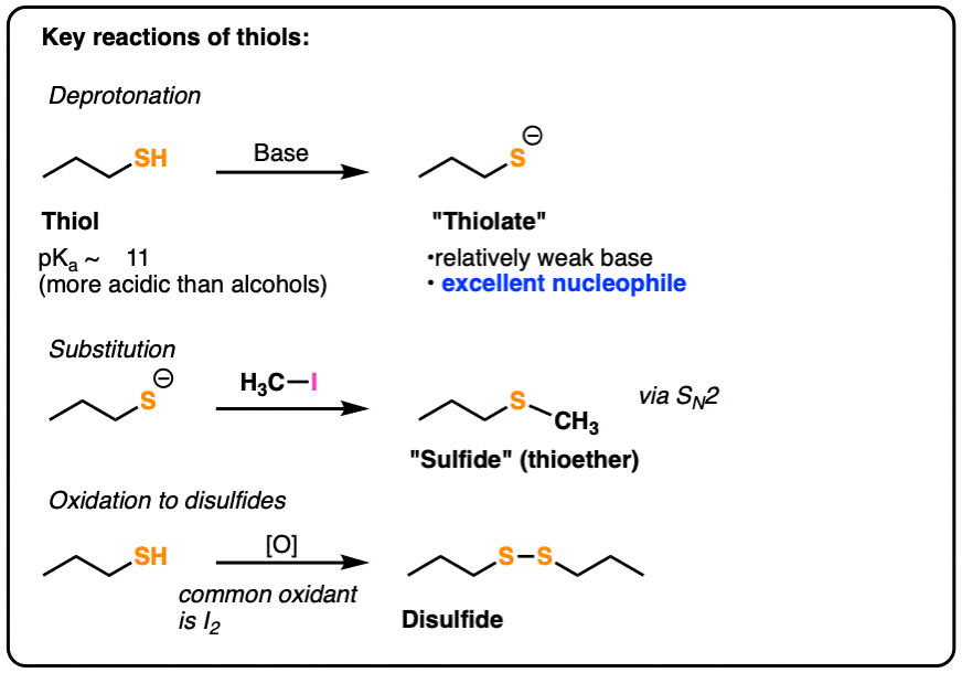 key reactions of thiols include deprotonation thiols pka about 11 also substitution with alkyl halides in sn2 reaction and finally oxidation of thiols to give disulfides