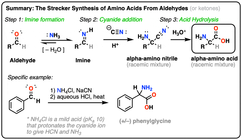 summary of the strecker synthesis of amino acids