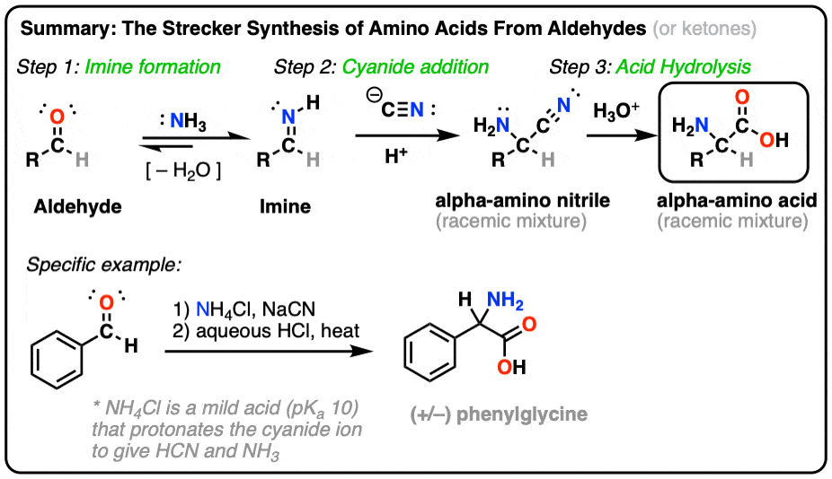 The Strecker Synthesis of Amino Acids – Master Organic Chemistry