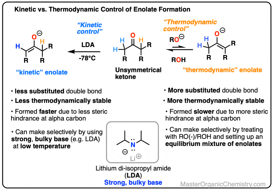 summary of kinetic versus thermodynamic control for enolate formation