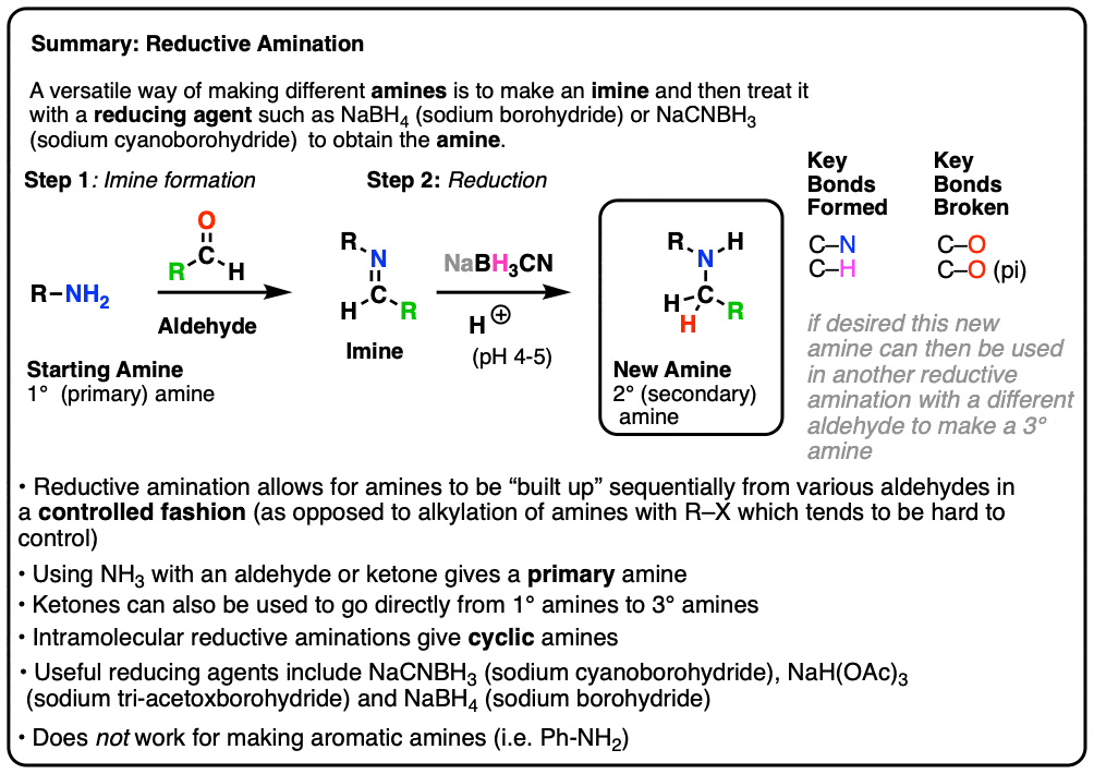 summary of reductive amination of aldehydes or ketones to amines via imines