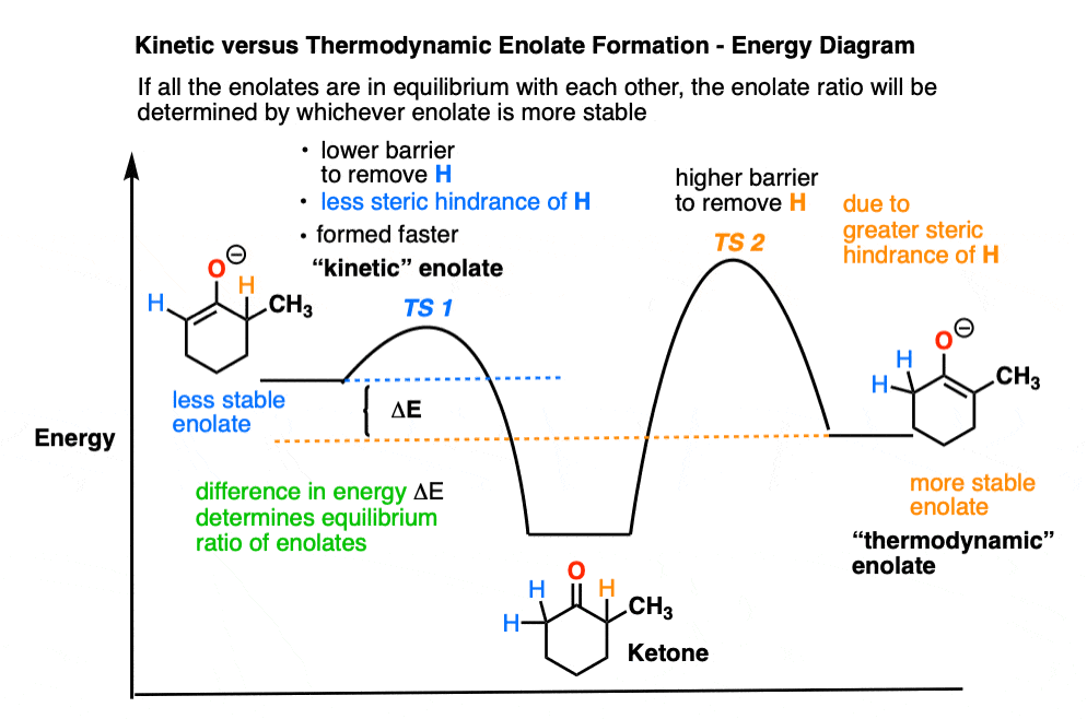 reaction energy diagram of kinetic versus thermodynamic enolate formation