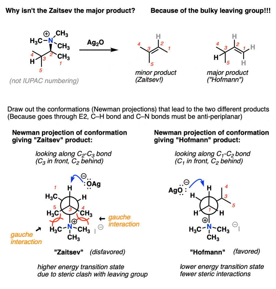 explanation for hofmann elimination why it gives least substituted alkene