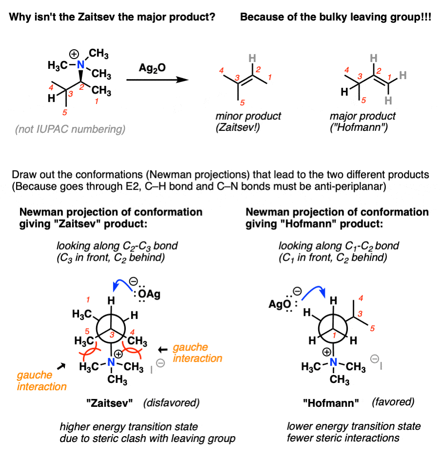 the-hofmann-elimination-why-are-less-substituted-alkenes-favored