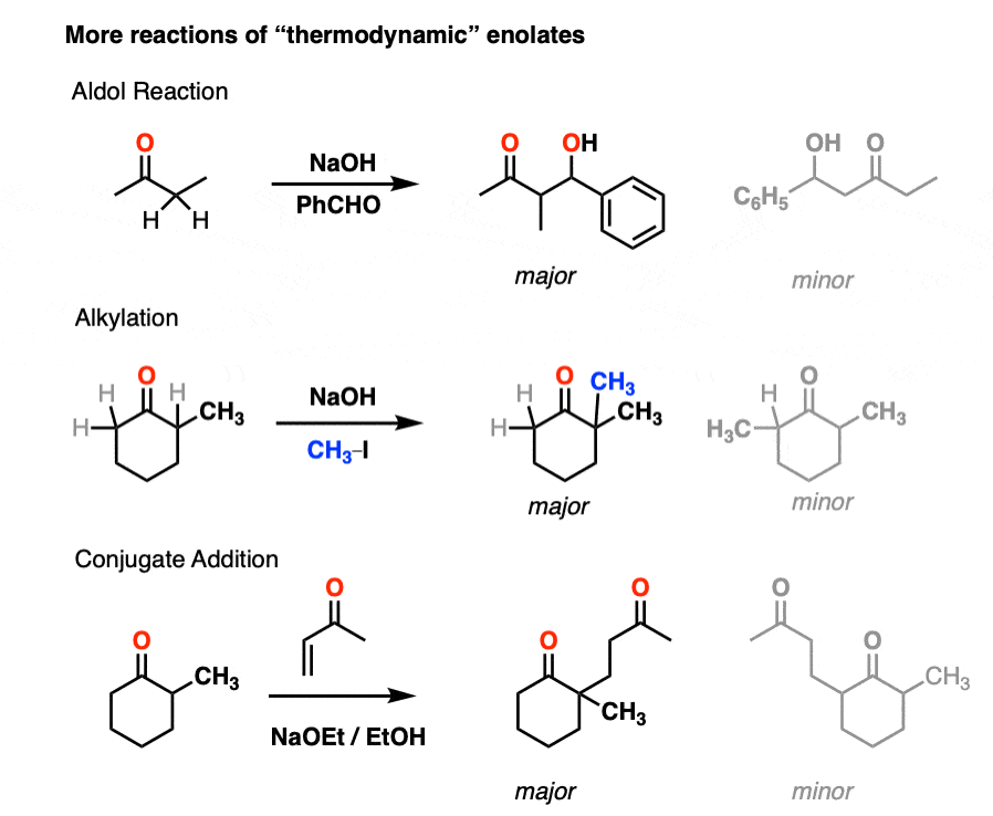 reactions of thermodynamic enolates - aldol addition - alkylation - conjugate addition